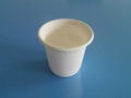 biodegradable disposable cup  1