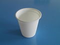 biodegradable disposable cup  3