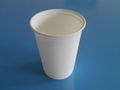 biodegradable disposable cup  5