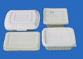 biodegradable disposable meal box 2