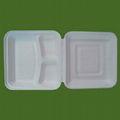 biodegradable disposable meal box 3