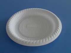 biodegradable disposable plate