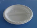 biodegradable disposable plate 2