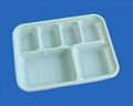 biodegradable disposable tray 1