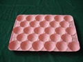 biodegradable disposable egg tray 1