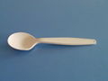 biodegradable disposable spoon 1