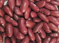 Dark Red Kidney Beans