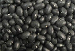 small Black Kidney Beans