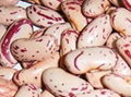 Light Speckled Kidney Beans 1