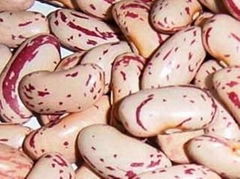 Light Speckled Kidney Beans