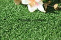 Door stadium artificial turf 4