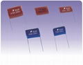 Metallized Polyester Film Capacitors CL21