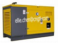 Silent Cummins diesel generator with CE