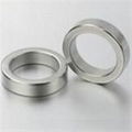 NdFeB Magnet （ring） 1