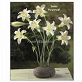 Solar garden decoration lily bouquet 1