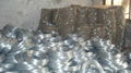 ELECTRO GALVANIZED IRON WIRE