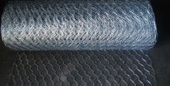 hexagonal wire mesh