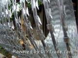 Razor wire mesh