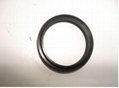 Sealing Ring(E4 2216)