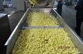 玉米条、粟米条生产设备