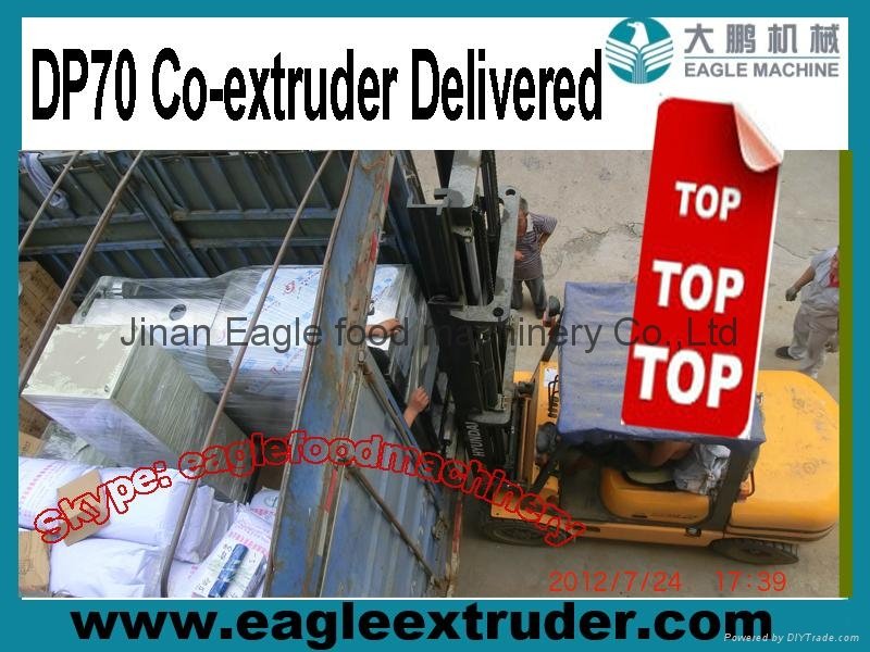 co-extruder for soya n   ets,bread crumbs, artificial rice, pet food, dog food 4