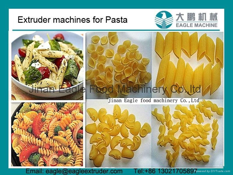 Jinan Eagle pasta extruder machines processing line