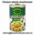 canned whole Mushroom in brine