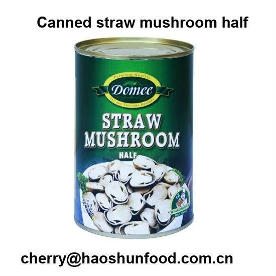 canned straw mushroom half