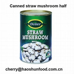 canned straw mushroom half