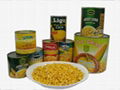 Canned sweet corn in brine 2