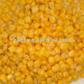 Canned sweet corn in brine 3