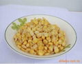 Canned sweet corn in brine 4