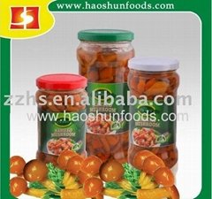 Canned nameko Mushroom from factory directly