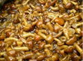Canned nameko Mushroom from factory directly 2