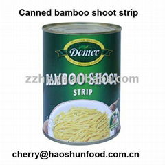 Canned bamboo shoot strip in brine salty