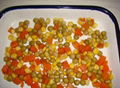 Canned mixed vegetable package in jars or can 4