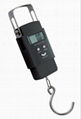 CS-1619 Hook-Shaped Scale 1