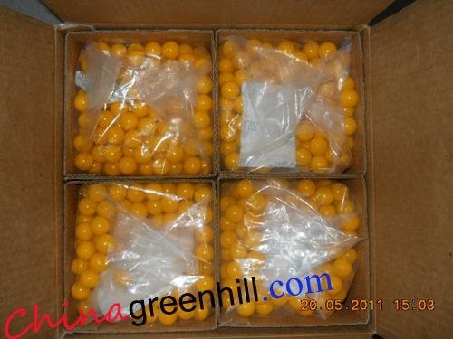 China Paintball Supplier in Shenzhen 5