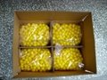 China 0.68 inch field paintballs 5