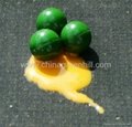 China 0.68 cal paintballs