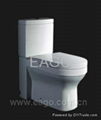 separate water closet with soft-closing