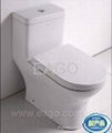 one-piece siphonic toilet with