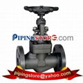 Globe Valves 3