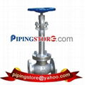 Globe Valves 4