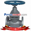 Globe Valves 5