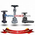 Gate Valves 1