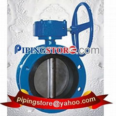 Butterfly Valve