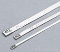 Stainless steel cable tie