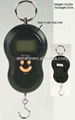 Hanging Scale /l   age scale  SUB-1006 1