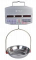 electronic price computing hanging scale